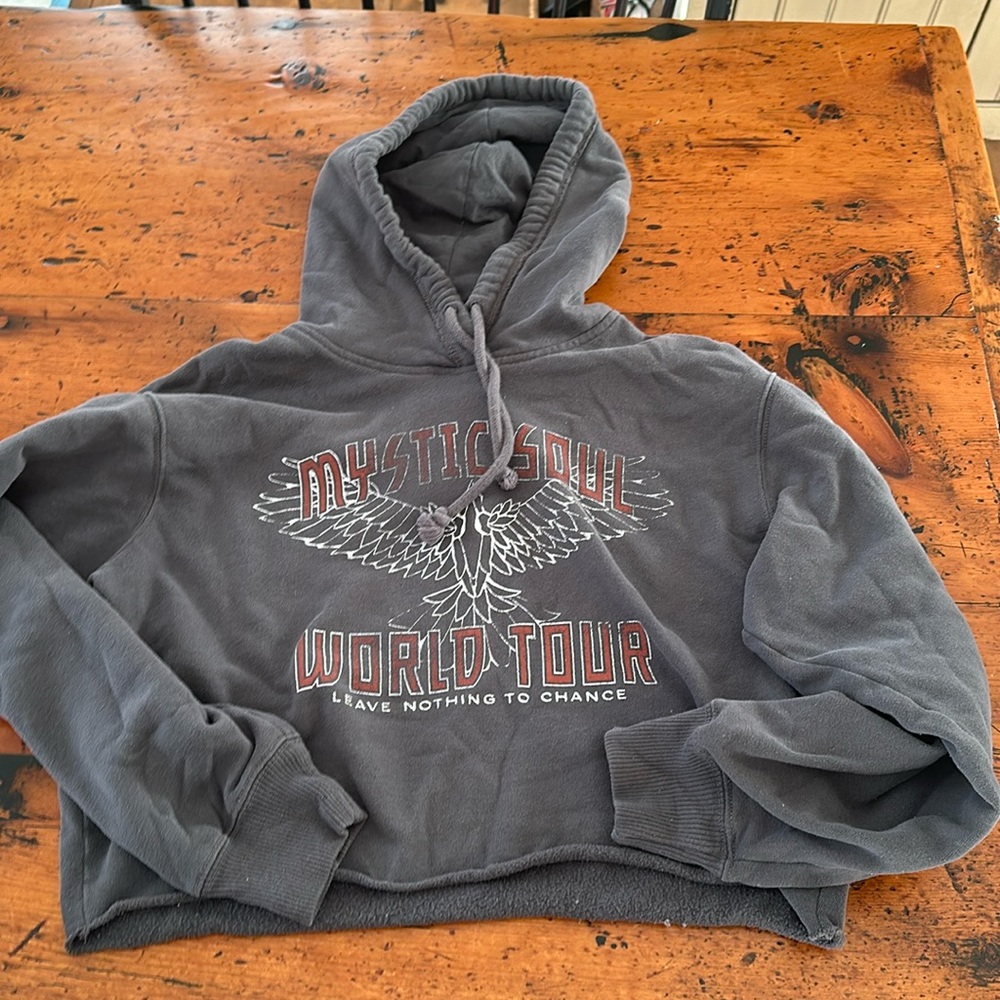 Mystic soul world tour cropped hoodie